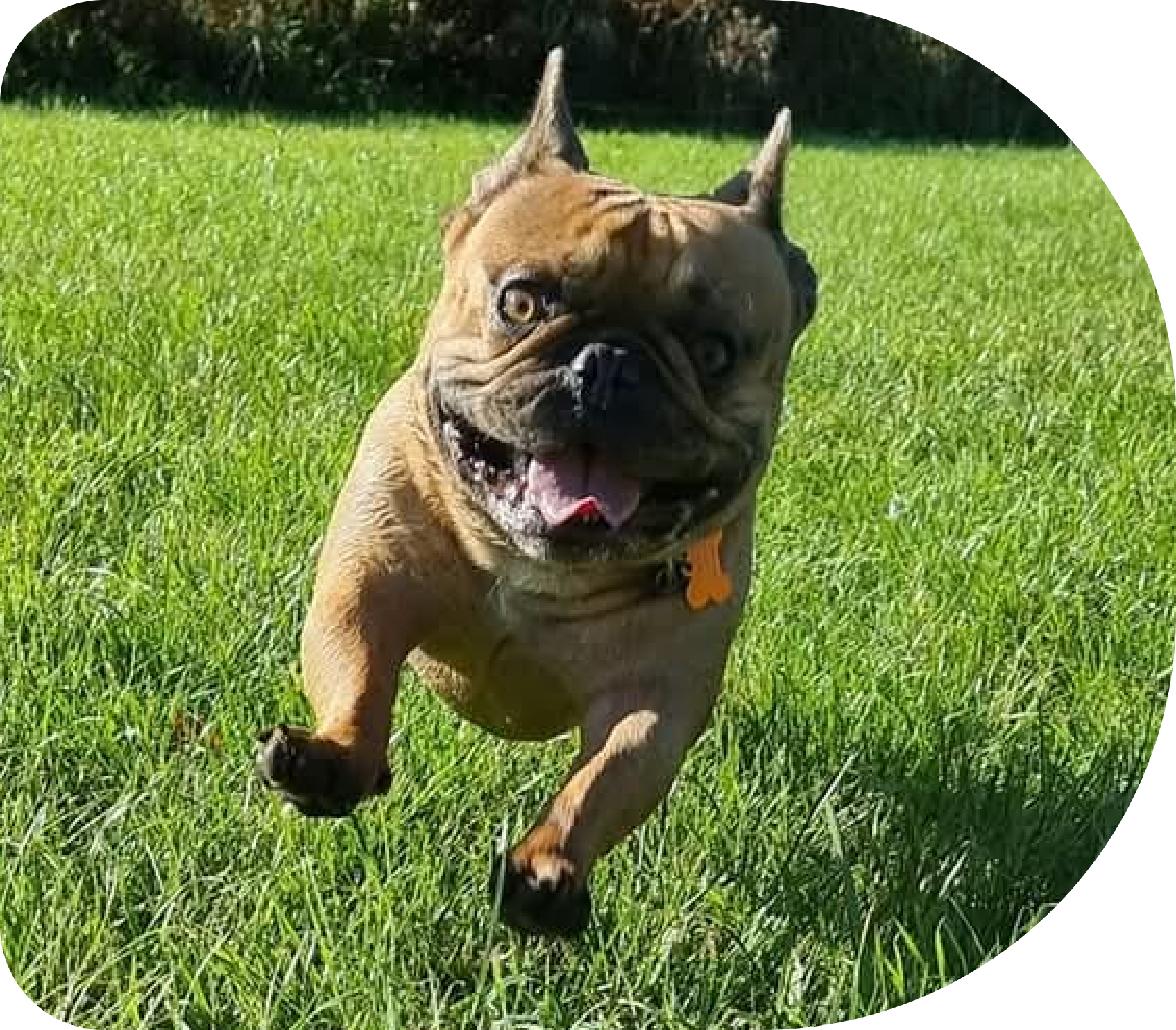 hoe-zit-een-dag-eruit