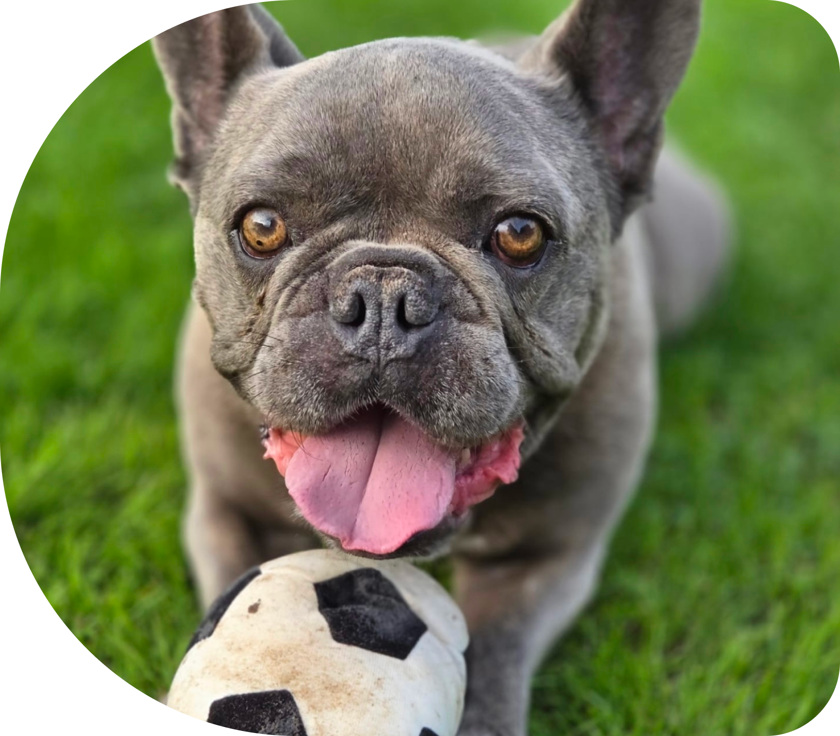 eigen-spullen-meenemen