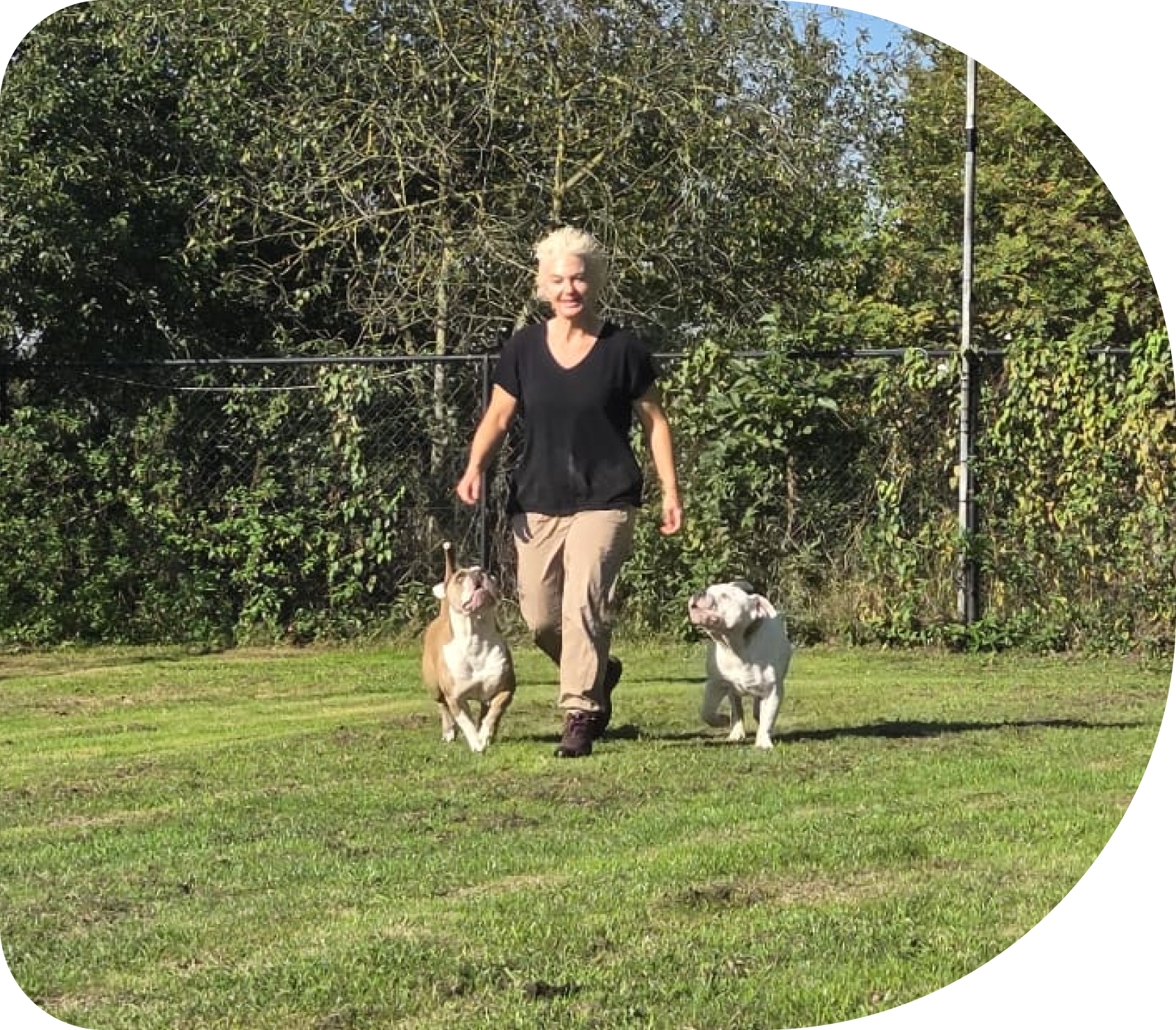 veiligheid-toezicht-gezondheid